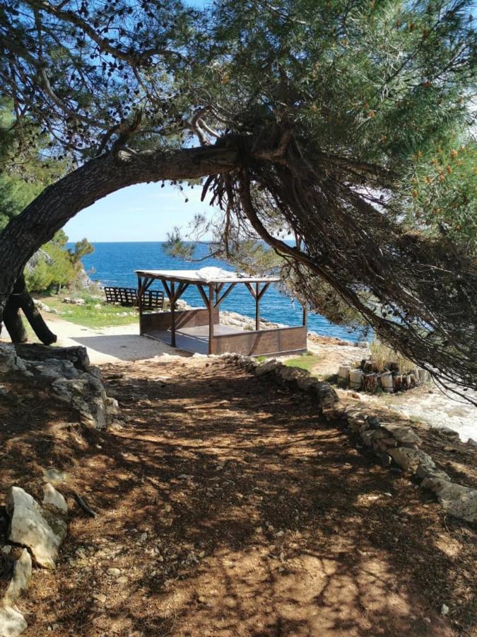 באניולה Black Pearl - Luxury Seaside App With Pool & Bbq, Istra מראה חיצוני תמונה